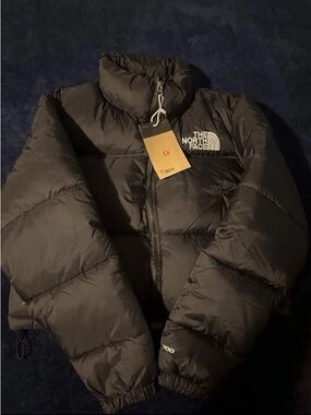 The North Face Black Down Puffer Coat